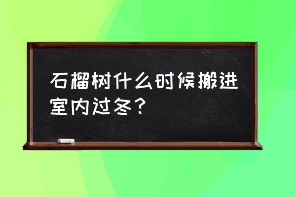 石榴树冬天能在室外过冬不 石榴树什么时候搬进室内过冬？