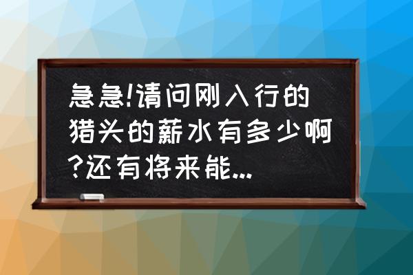 对猎头公司绩效评估 急急!请问刚入行的猎头的薪水有多少啊?还有将来能够进入做公司hr么？