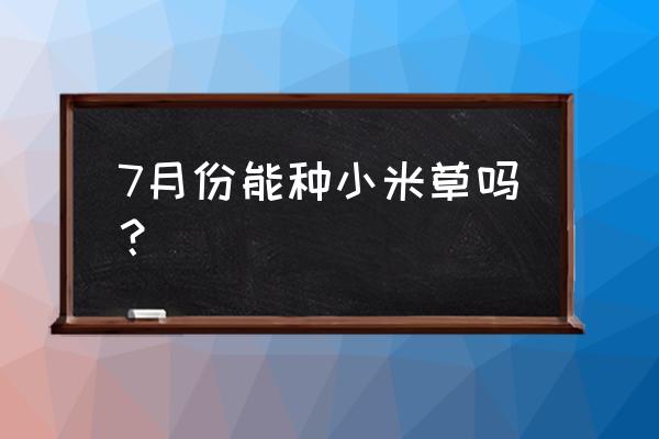 小米草长在什么地方 7月份能种小米草吗？