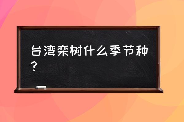 栾树什么时候种最好 台湾栾树什么季节种？