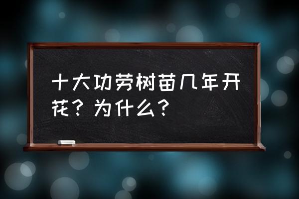 十大功劳种子如何种植 十大功劳树苗几年开花？为什么？