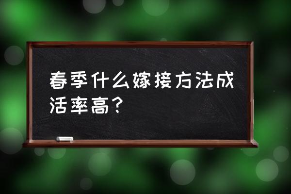 春天嫁接果树最佳方法 春季什么嫁接方法成活率高？