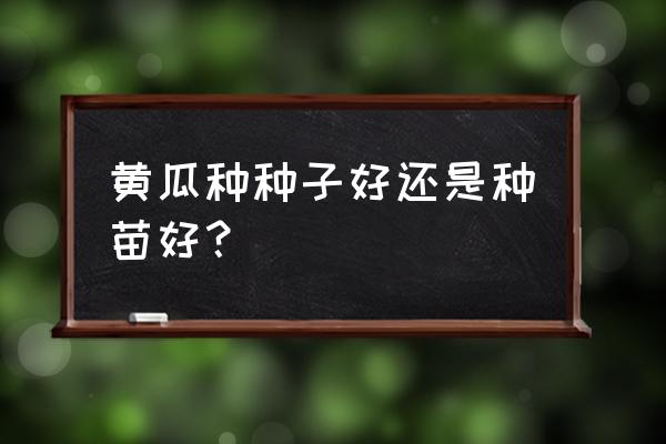 多楔带滚筒输送机选型 黄瓜种种子好还是种苗好？