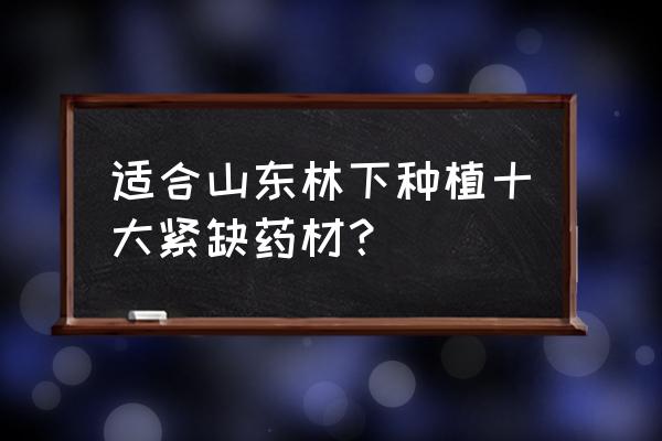 适合林间套种的药材 适合山东林下种植十大紧缺药材？