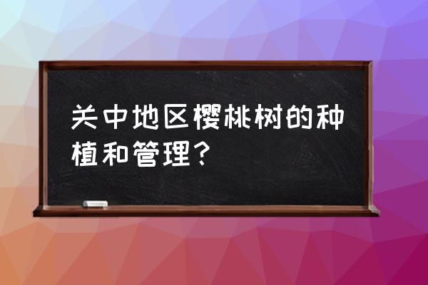 种樱桃树苗的方法 关中地区樱桃树的种植和管理？