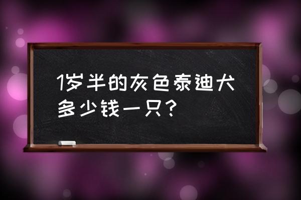 灰泰迪价格 1岁半的灰色泰迪犬多少钱一只？