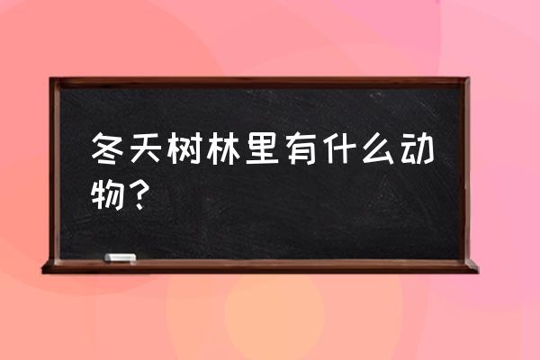 最强蜗牛何首乌兑换地点 冬天树林里有什么动物？