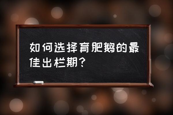 一个月的小鹅后期怎么养才长得快 如何选择育肥鹅的最佳出栏期？