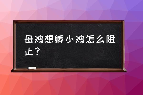 母鸡要孵小鸡如何解决 母鸡想孵小鸡怎么阻止？