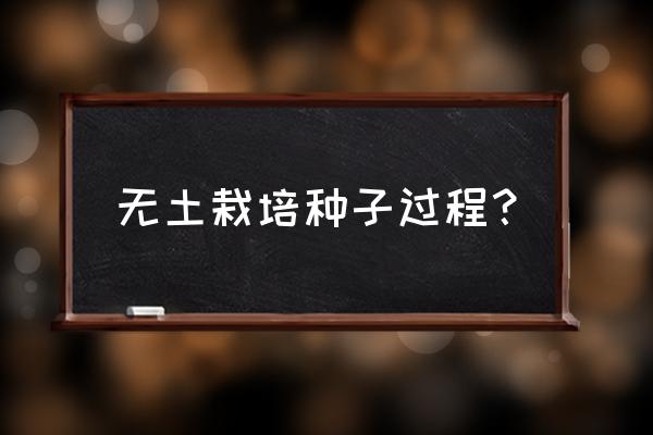 无土栽培黄豆 无土栽培种子过程？