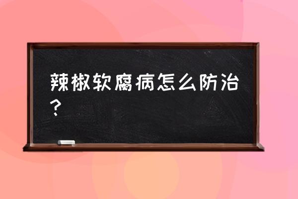 辣椒有哪些病害和危害 辣椒软腐病怎么防治？