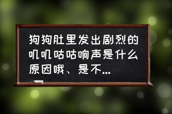 狗狗肚子有响声什么原因 狗狗肚里发出剧烈的叽叽咕咕响声是什么原因哦、是不停的响？