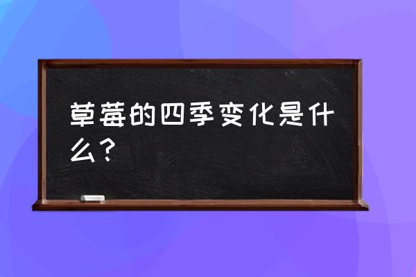 草莓长得不规则是什么原因 草莓的四季变化是什么？