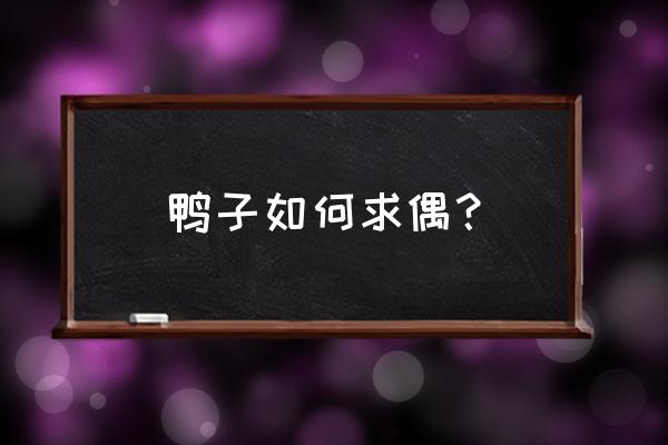 怎么训练鸭子一直跟着主人 鸭子如何求偶？