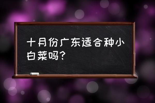 小青菜什么时间种最好 十月份广东适合种小白菜吗？