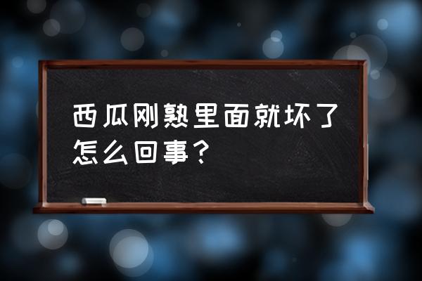 下雨天怎么防止西瓜烂掉 西瓜刚熟里面就坏了怎么回事？