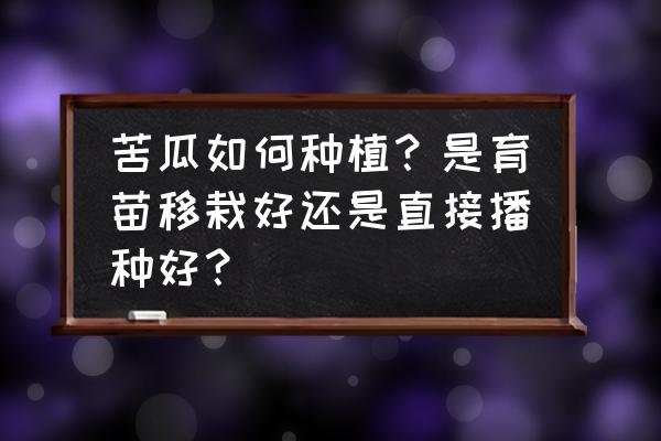 大顶苦瓜高产的种植方法 苦瓜如何种植？是育苗移栽好还是直接播种好？