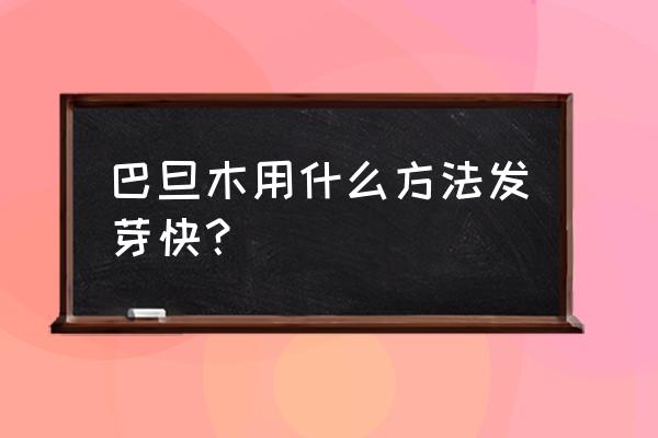 巴旦木盆栽全泡水里可以吗 巴旦木用什么方法发芽快？