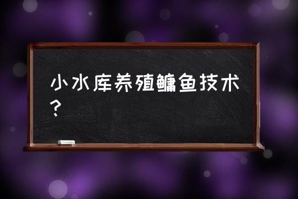 胖头鱼怎样养殖最好 小水库养殖鳙鱼技术？