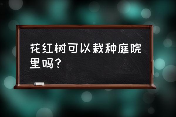 什么人不能服用花红片 花红树可以栽种庭院里吗？