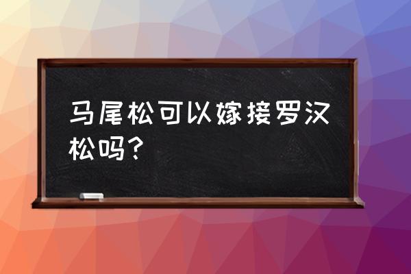 松树怎样嫁接图片大全 马尾松可以嫁接罗汉松吗？