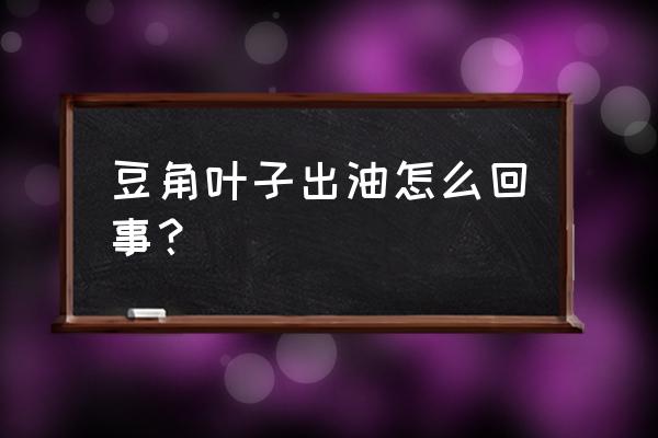 无筋豆种植时间和方法 豆角叶子出油怎么回事？