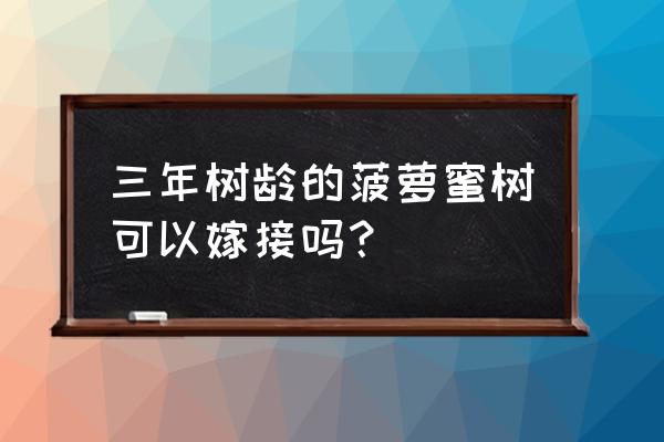 嫁接菠萝蜜时间和方法 三年树龄的菠萝蜜树可以嫁接吗？