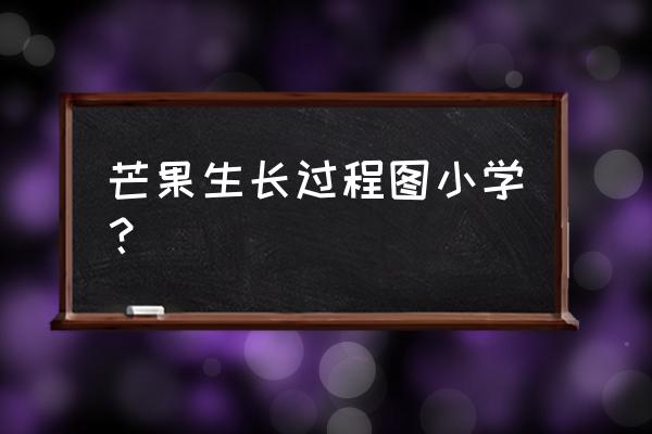 芒果核里有黑色的根须 芒果生长过程图小学？