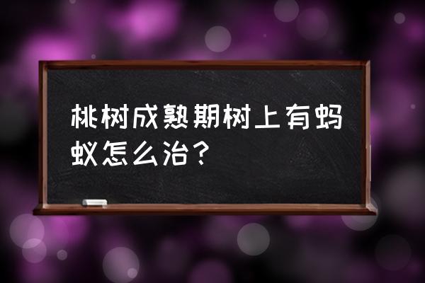 如何防止蚂蚁上果树 桃树成熟期树上有蚂蚁怎么治？