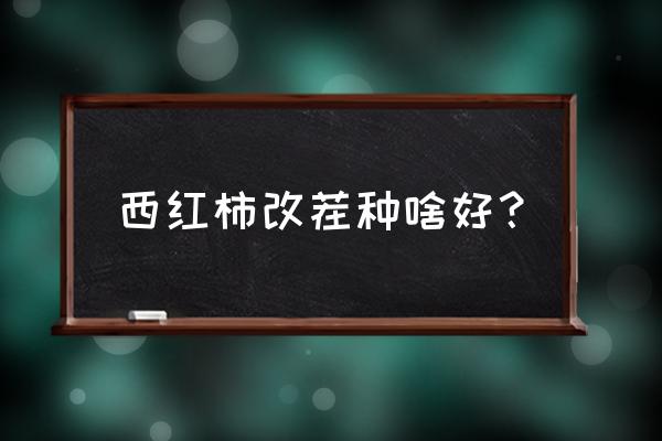 西红柿放什么肥料好 西红柿改茬种啥好？