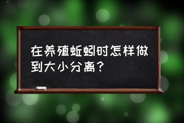 蚯蚓分离的最佳方法 在养殖蚯蚓时怎样做到大小分离？