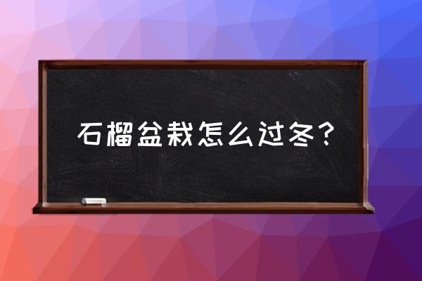 石榴冬季施什么肥来年挂果多 石榴盆栽怎么过冬？