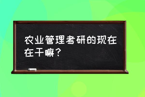 怎样做好农业企业管理工作 农业管理考研的现在在干嘛？