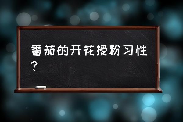 西红柿喷花是不是需要2次才能喷完 番茄的开花授粉习性？