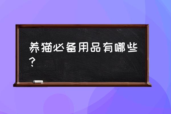 航空箱能代替猫笼子吗 养猫必备用品有哪些？