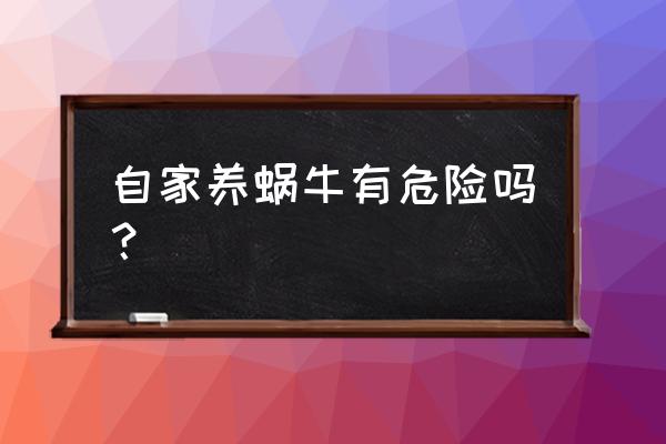 养蜗牛能挣钱吗 自家养蜗牛有危险吗？