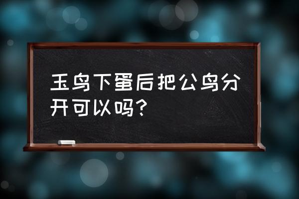 白菜苗有公母之分吗 玉鸟下蛋后把公鸟分开可以吗？