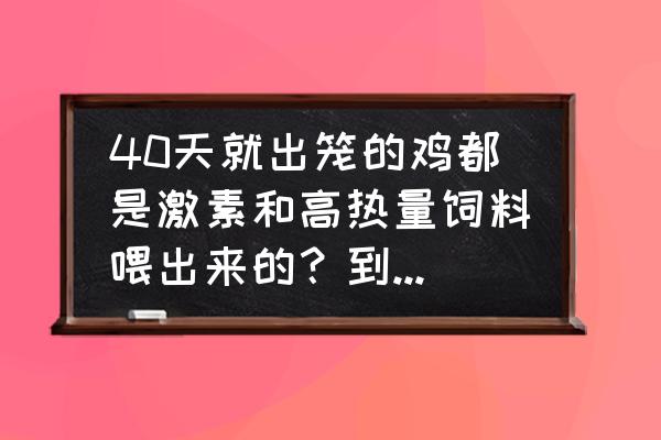 为什么老公鸡不能吃 40天就出笼的鸡都是激素和高热量饲料喂出来的？到底能不能吃？