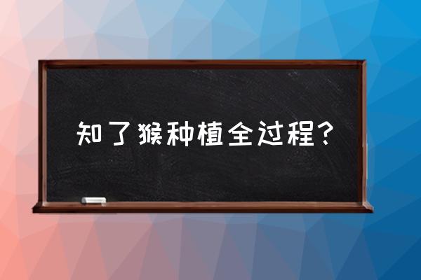 金蝉苗怎么培养出来的 知了猴种植全过程？