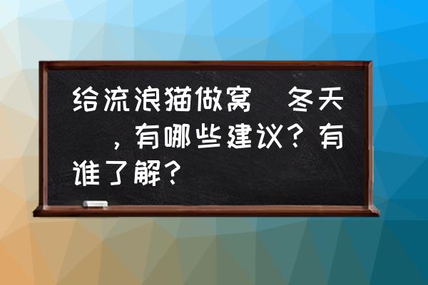 如何让流浪猫进自己做的猫窝 给流浪猫做窝（冬天），有哪些建议？有谁了解？