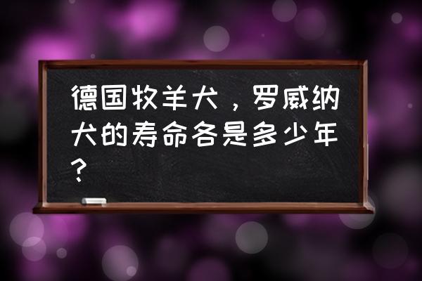 惠比特犬适合山区猎兔吗 德国牧羊犬，罗威纳犬的寿命各是多少年？