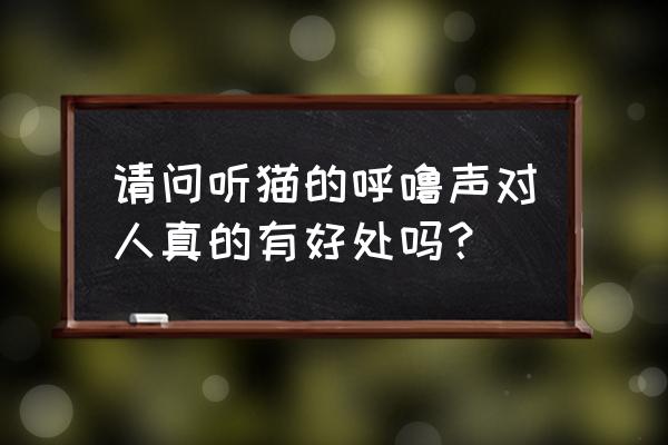 喵音如何注销账号 请问听猫的呼噜声对人真的有好处吗？