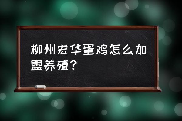 蛋鸡保暖最佳方法 柳州宏华蛋鸡怎么加盟养殖？