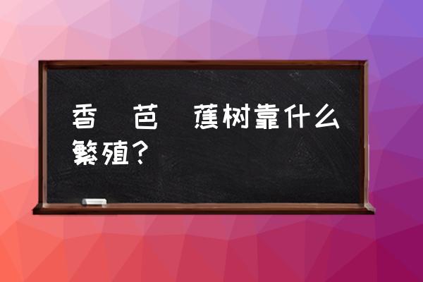 迷你世界香蕉树种子怎么获得 香（芭）蕉树靠什么繁殖？