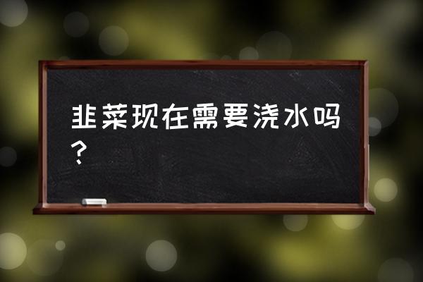 韭菜什么时间浇水最好 韭菜现在需要浇水吗？