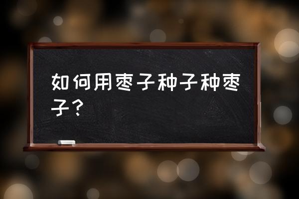 如何用干红枣种子催芽 如何用枣子种子种枣子？