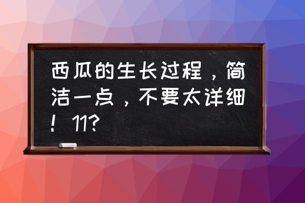 西瓜刚长小瓜就烂了怎么解决 西瓜的生长过程，简洁一点，不要太详细！11？