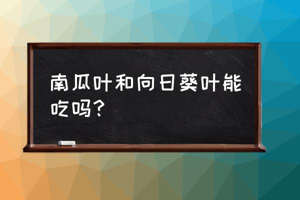 向日葵是怎么吃的 南瓜叶和向日葵叶能吃吗？