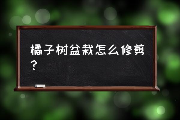 给小橘子树剪枝的方法 橘子树盆栽怎么修剪？