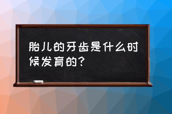 部落冲突10本发育指南 胎儿的牙齿是什么时候发育的？